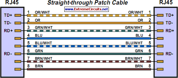 Network Vs Patch Cable